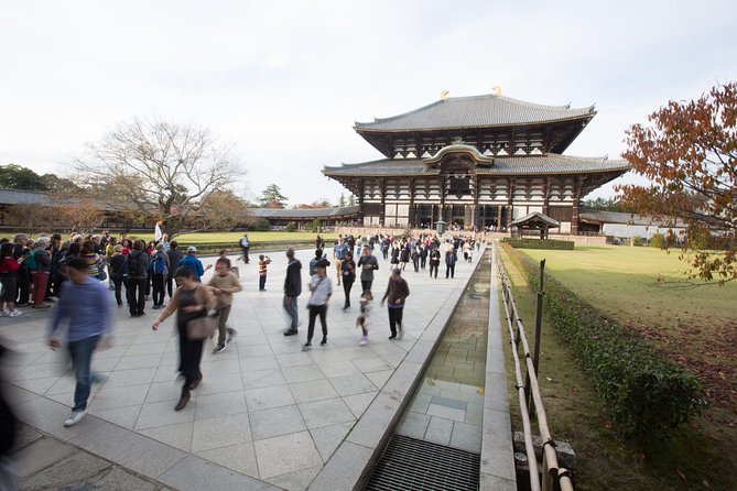 Kyoto and Nara Day Trip from Kyoto - Price and value: is $194.85 worth it for your time?