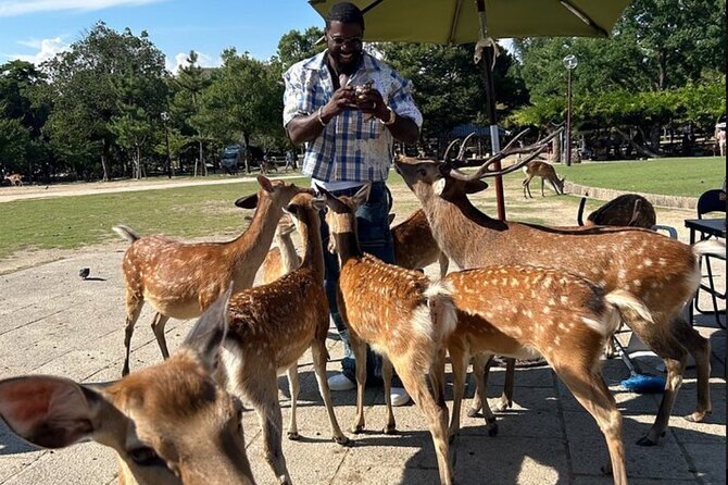 Kyoto and Nara Private Car Tour with a Local English Guide Driver - Key highlights worth centering your day on
