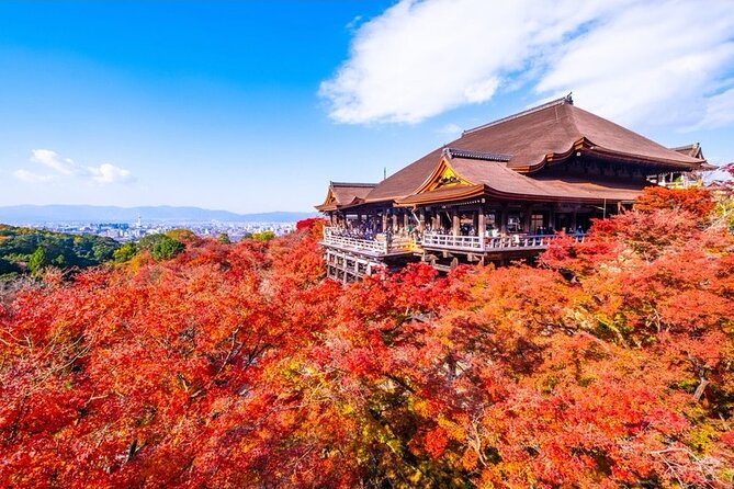 Kyoto and Nara Private Car Tour with a Local English Guide Driver - Your day, stop by stop: what you’ll see and how to handle each one
