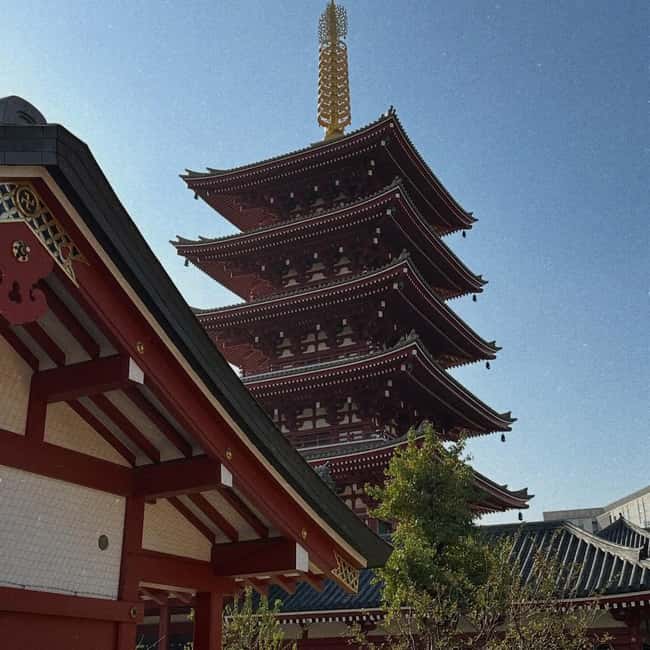 Kyoto and Nara: Private Customized Tour with Guide & vehicle - Getting Picked Up (Osaka or Kyoto) and Staying Comfortable