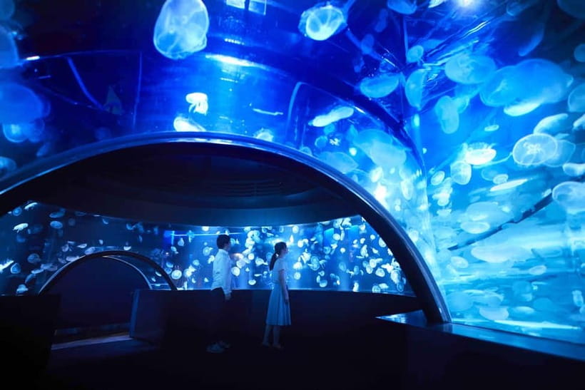 Kyoto Aquarium Admission Ticket - Kyoto Aquarium at Umekoji Park: a calm setting for a full animal day