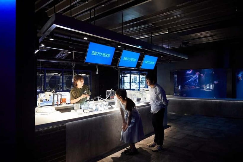 Kyoto Aquarium Admission Ticket - The Umekoji Park outside-the-tanks pause