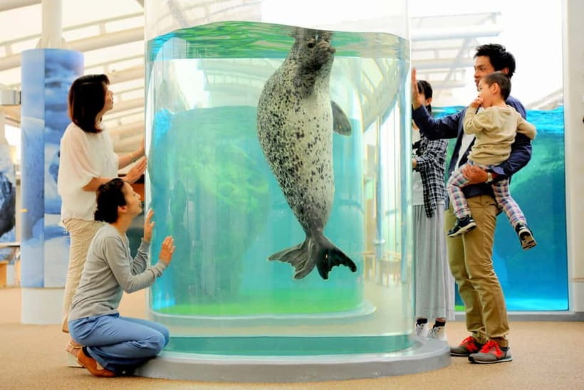 Kyoto Aquarium Admission Ticket - Start smart: how to plan your route with one-ticket entry