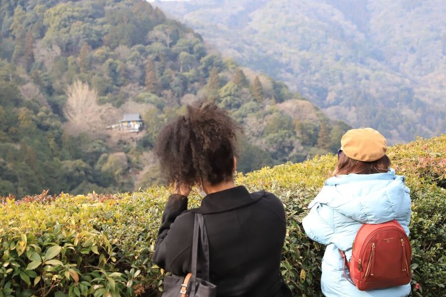 Kyoto Arashiyama Bamboo Forest Customized Private Tour - Okochi Sanso Garden and Saga Toriimoto: tradition with breathing room