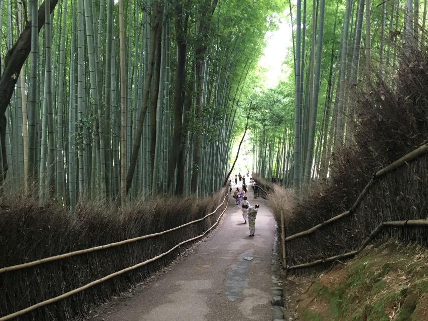 Kyoto Arashiyama Bamboo Forest Customized Private Tour - When you want variety: Nisonin, Gioji, Nenbutsu-ji stops, and Monkey Park