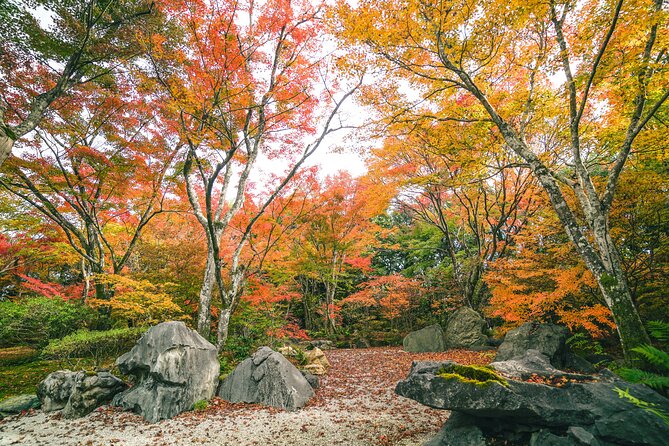 Kyoto Arashiyama Bamboo forest & Garden Half-Day Walking Tour - Tenryu-ji Temple: Zen Gardens and Painted Meaning