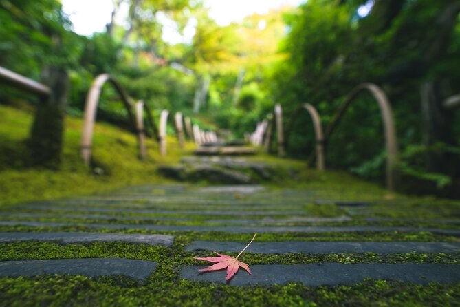 Kyoto Arashiyama Bamboo forest & Garden Half-Day Walking Tour - Togetsukyo Bridge Lunch: River Views and a Proper Kyoto Meal