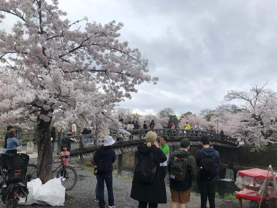 Kyoto Arashiyama Bamboo forest & Golden Pavilion E-Bike Tour - Getting started: helmets, a clean e-bike, and an easy meeting point