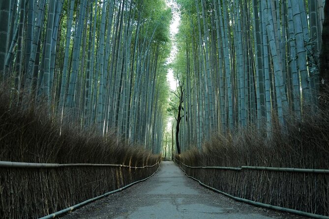 Kyoto Arashiyama Bamboo Forest Hiking Tour（Hidden Temples） - Key Highlights Worth Your Time