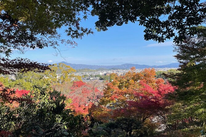 Kyoto Arashiyama Bamboo Forest Hiking Tour（Hidden Temples） - Bamboo Forest Hike, But With Real Direction