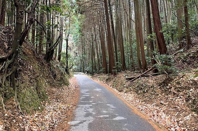 Kyoto Arashiyama Bamboo Forest Hiking Tour（Hidden Temples） - Climbing the Mountain: The Part That Makes This Tour Feel Worth It