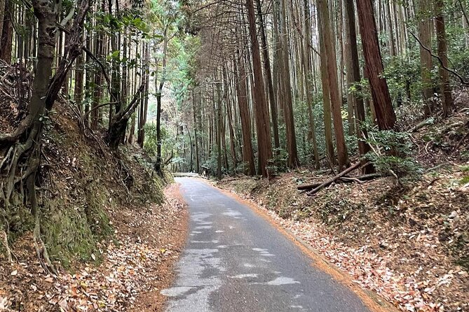 Kyoto Arashiyama Bamboo Forest Hiking Tour（Hidden Temples） - Adashino Nenbutsu-ji: 8,000 Statues and a Calmer Temple Mood