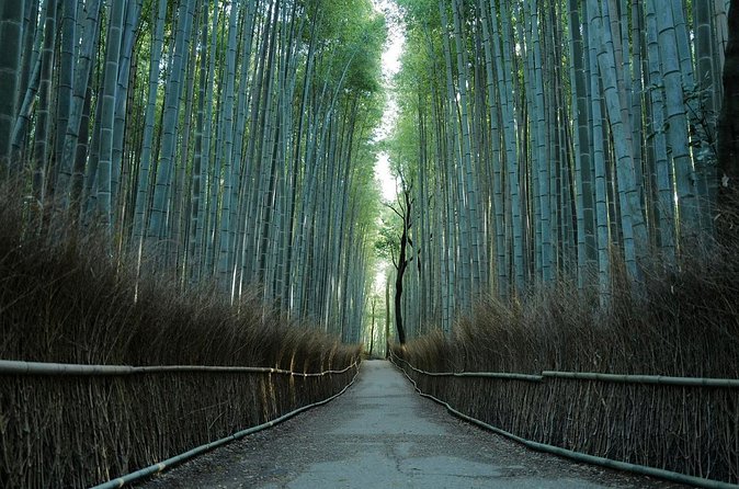 Kyoto Arashiyama Bamboo Forest Hiking Tour（Hidden Temples） - Price and Value: Paying $52.71 for What Matters