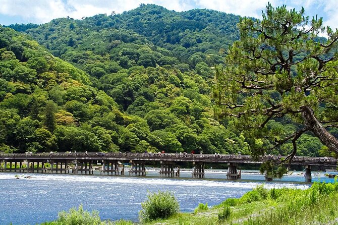 Kyoto: Arashiyama Bamboo Forest, Monkeys, Matcha & Temple Tour - Key things that make this tour work