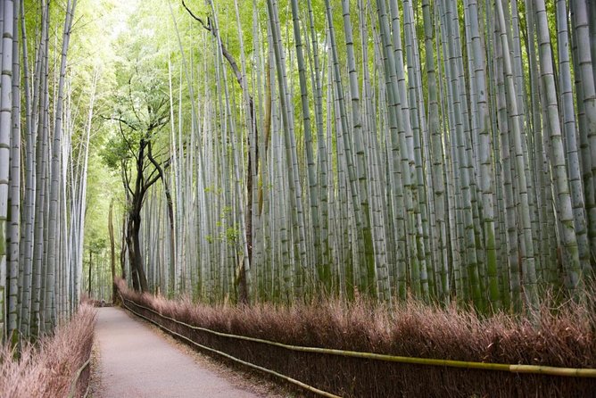 Kyoto Arashiyama Bamboo Forest & Scenery Customized Private Tour - Meeting at Saga-Arashiyama Station: the easy start you should not skip