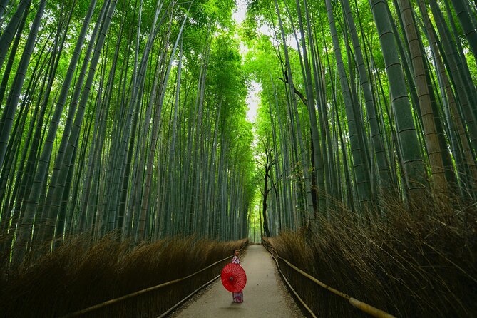 Kyoto: Arashiyama Bamboo, Temple, Matcha, Monkeys & secret spots - What Makes This Tour Feel Personal (Small Group, Real Assistance)