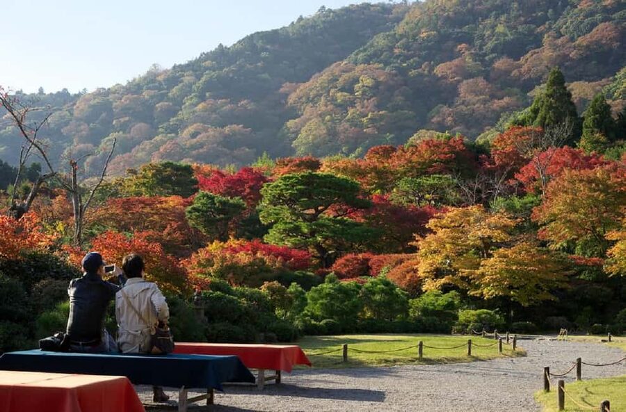 Kyoto: Arashiyama Bamboo, Togetsukyo bridge, Sanso, and more - Key Things You’ll Notice About This Arashiyama Tour
