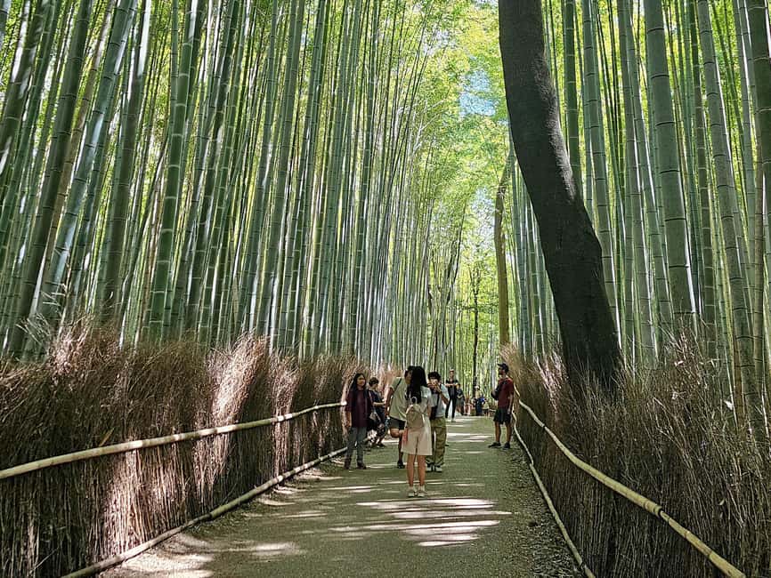 Kyoto: Arashiyama Bamboo, Togetsukyo bridge, Sanso, and more - Okochi Sanso Villa: gardens with room to breathe