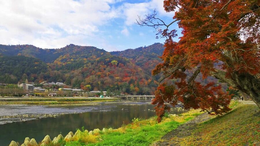 Kyoto: Arashiyama Bamboo, Togetsukyo bridge, Sanso, and more - Kimono Forest lights: modern art meets Arashiyama’s old-world scenery
