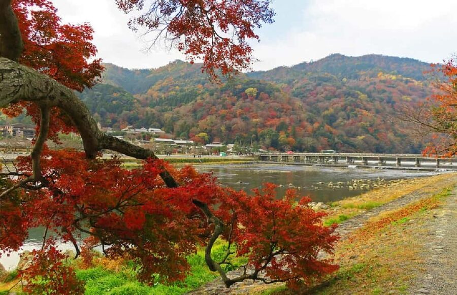Kyoto: Arashiyama Bamboo, Togetsukyo bridge, Sanso, and more - Price and value: $26 buys more than a checklist in 3 hours