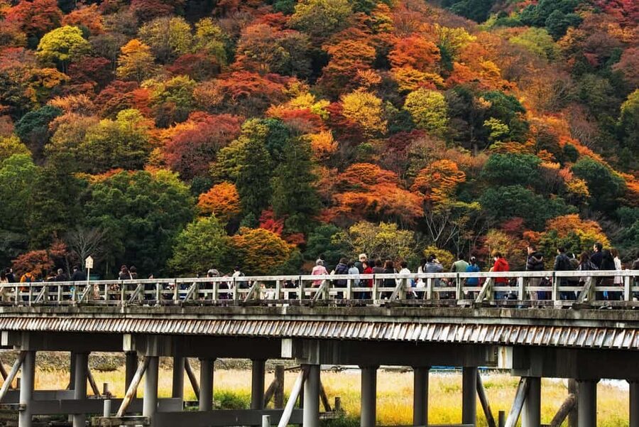Kyoto: Arashiyama Bamboo, Togetsukyo bridge, Sanso, and more - What the small-group size changes on the ground