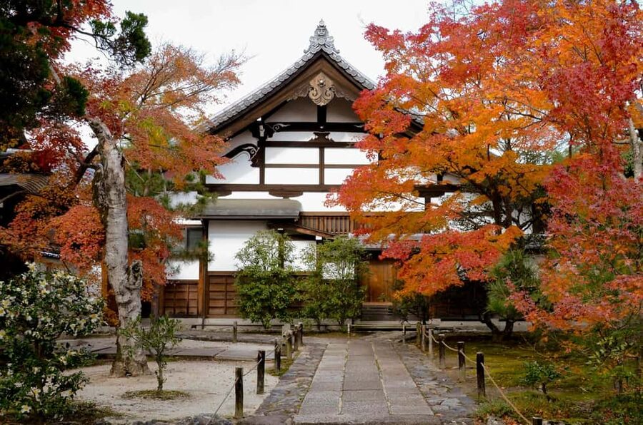 Kyoto: Arashiyama Bamboo, Togetsukyo bridge, Sanso, and more - Sagano Bamboo Forest: how to make the most of Kyoto’s most famous stalks