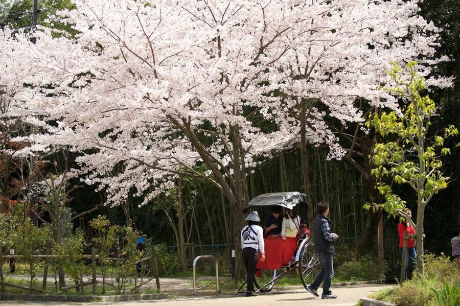 Kyoto: Arashiyama Customized Rickshaw Tour & Bamboo Forest - Price and Value: What $51 Buys You in Kyoto