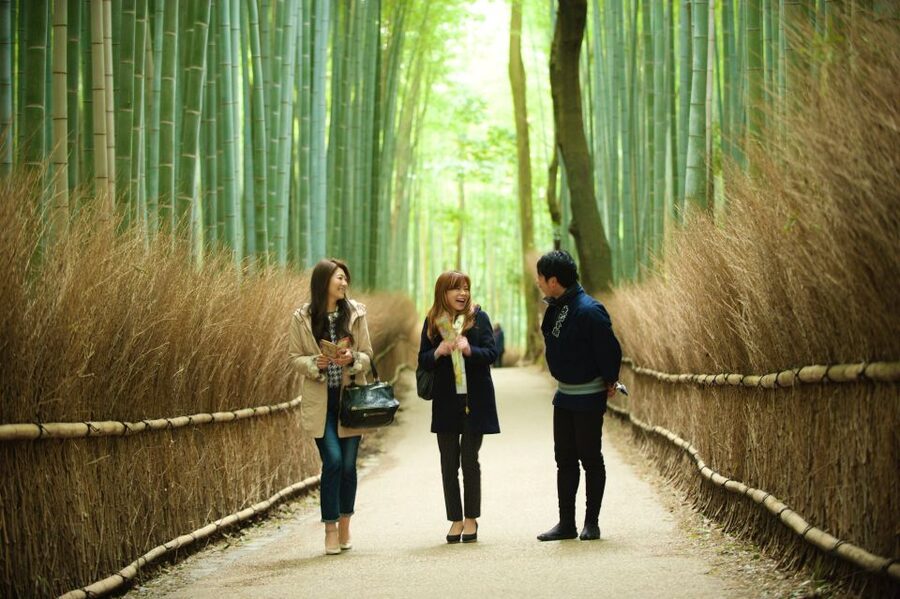 Kyoto: Arashiyama Customized Rickshaw Tour & Bamboo Forest - Comfort, Fit, and the Small Rules That Matter