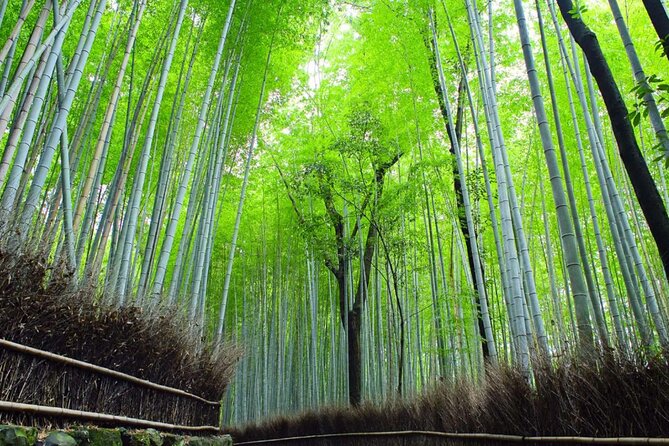Kyoto: Arashiyama Early Access Bamboo & Temple Tour - Timing, weather, and how to make photos easier