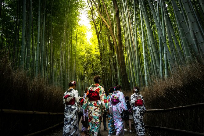 Kyoto: Arashiyama Early Access Bamboo & Temple Tour - Togetsukyo Bridge: your first big picture of Arashiyama