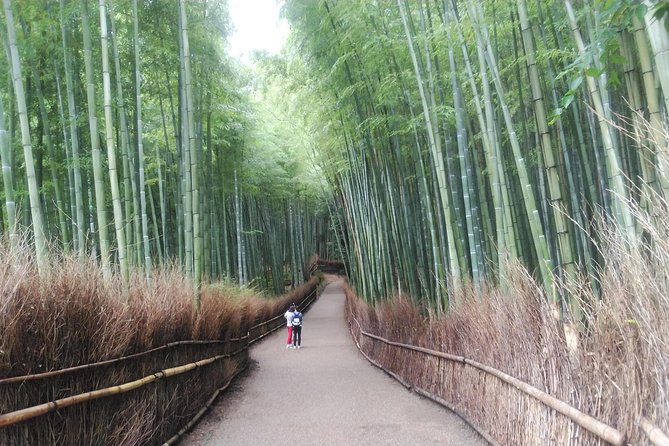 Kyoto Arashiyama & Golden Pavilion One-Day Walking Tour - Kameyama Park: a quieter viewpoint across the river
