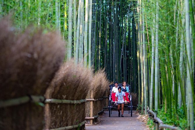 Kyoto Arashiyama Rickshaw Tour with Bamboo Forest - Timing and Weather Reality: Rain or Shine, Plan for Being On-Time
