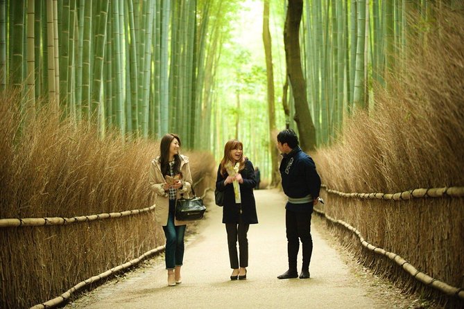 Kyoto Arashiyama Rickshaw Tour with Bamboo Forest - The Rickshaw Ride Through Bamboo Forest Street: Fast Views, Limited Exits
