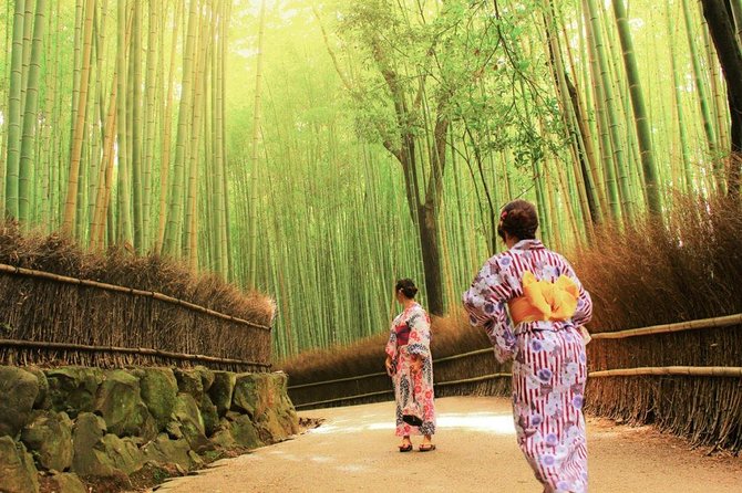 Kyoto Arashiyama & Sagano Bamboo Private Tour with Government-Licensed Guide - Key highlights to look for before you book