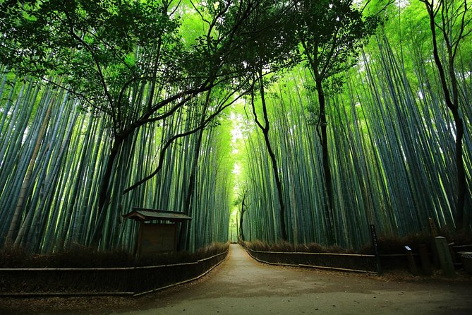 Kyoto Arashiyama & Sagano Bamboo Private Tour with Government-Licensed Guide - Price and logistics: what $157.82 buys you