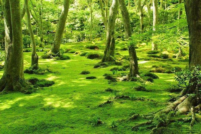 Kyoto Arashiyama & Sagano Bamboo Private Tour with Government-Licensed Guide - Arashiyama core: Togetsukyo Bridge, bamboo pathways, and nearby temples
