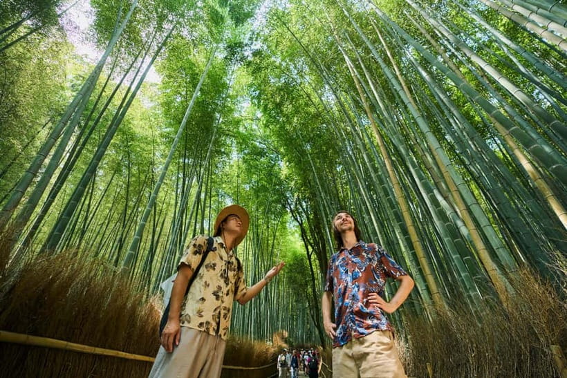Kyoto: Arashiyama UNESCO Walking Tour with Admission - Tenryu-ji Temple: UNESCO Gardens and the Shoe-Check Moment