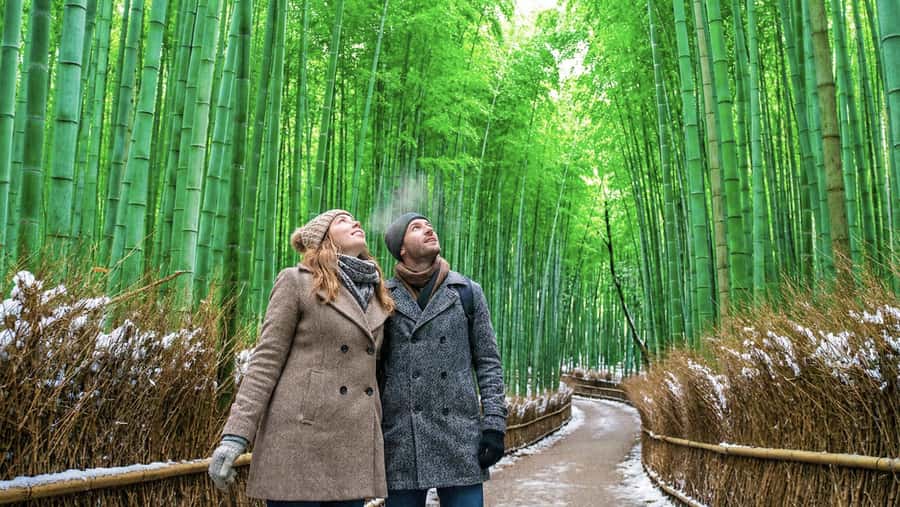 Kyoto: Arashiyama Unveiled Bamboo, Temple, Matcha, & Monkeys - Why this 4-hour Arashiyama day feels right