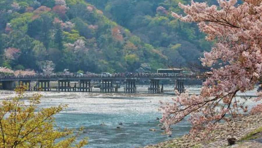 Kyoto: Arashiyama Unveiled Bamboo, Temple, Matcha, & Monkeys - Price and value: what $25 actually covers
