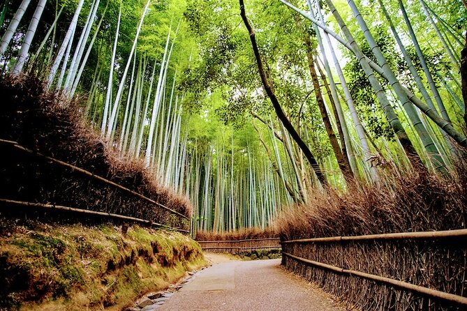 Kyoto Arashiyama Walking Tour: Bamboo, Monkeys, Gardens & Secrets - Bamboo Forest Trail: iconic, but managed
