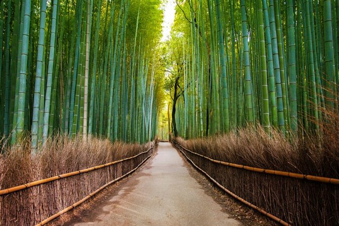 Kyoto Arashiyama Walking Tour: Bamboo, Monkeys, Gardens & Secrets - Monkey Park Iwatayama: the hike that makes the day