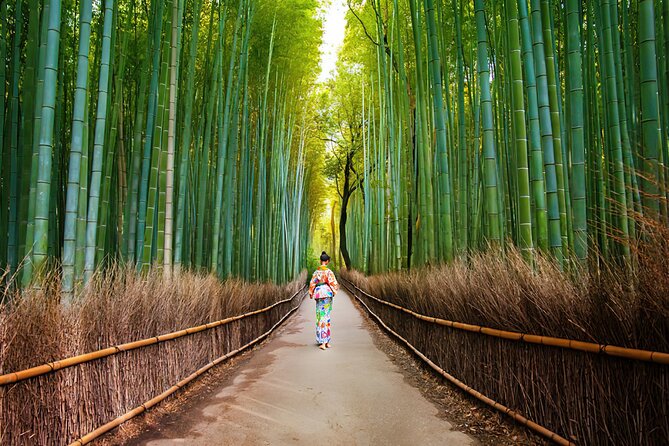 Kyoto Arashiyama Walking Tour: Bamboo, Monkeys, Gardens & Secrets - Okōchi Sansō Garden: the calm intermission after the bamboo