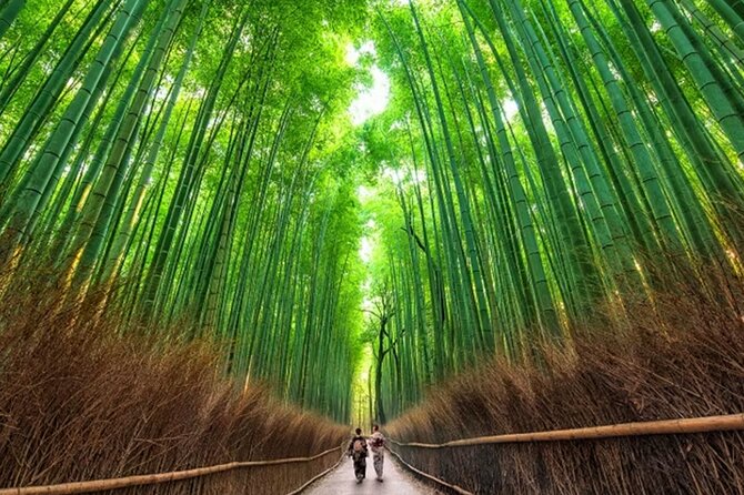 Kyoto: Arashiyama Walking Tour – UNESCO World Heritage - Key highlights worth showing up for