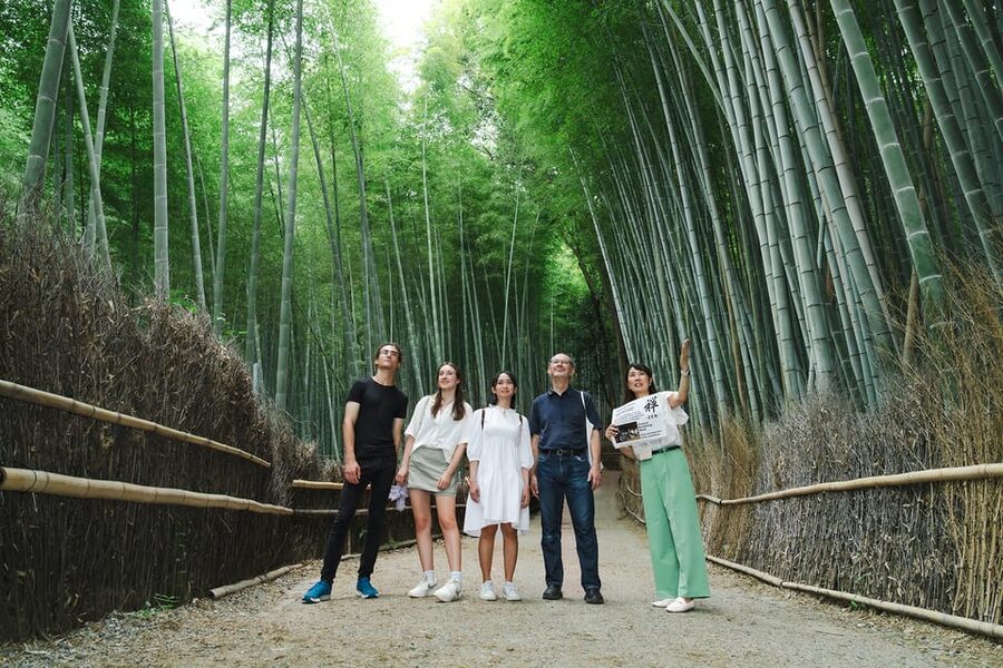 Kyoto: Arashiyama Walking Tour with Local Guide - Arashiyama bamboo forest walk: light, pace, and etiquette