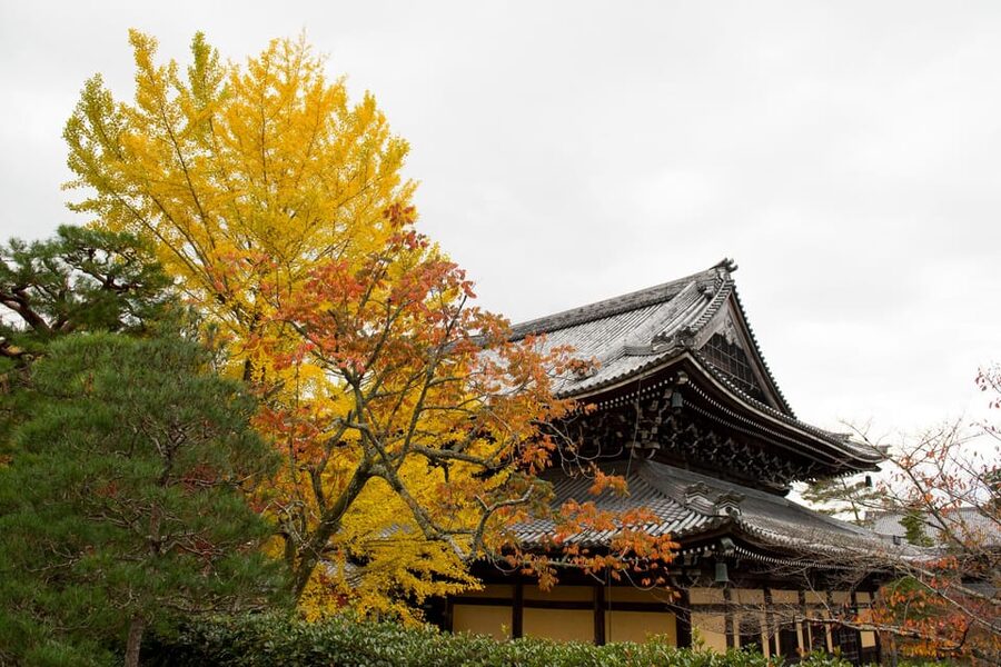 Kyoto: Authentic Biking Half Day Experience - Why this Kyoto bike tour feels like local life