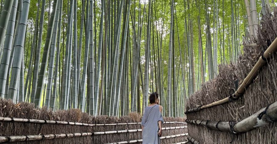 Kyoto: Avoid the Crowds at the Hidden Gems of Arashiyama - Key things you’ll notice on this Arashiyama route