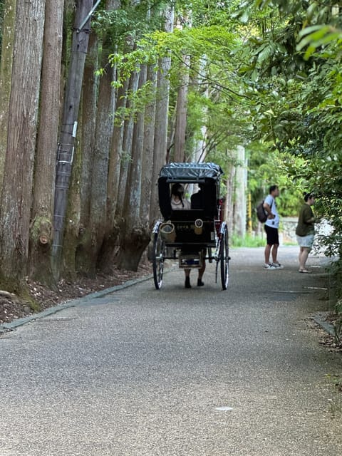 Kyoto: Avoid the Crowds at the Hidden Gems of Arashiyama - Why Arashiyama feels different when you leave the main flow