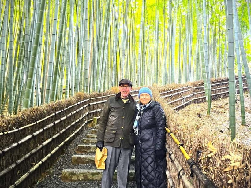 Kyoto: Avoid the Crowds at the Hidden Gems of Arashiyama - Togetsukyo Bridge and the Arashiyama Park observatory: views that set the tone