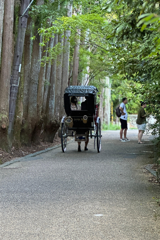 Kyoto: Avoid the Crowds at the Hidden Gems of Arashiyama - Starting at Saga Arashiyama Station: get your bearings fast