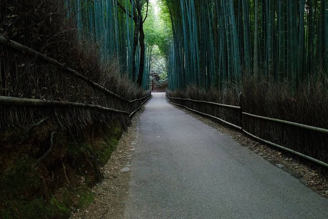 Kyoto Bamboo Forest & Golden Pavilion E-Bike Tour - Tenryu-ji Temple: Zen garden time with UNESCO weight